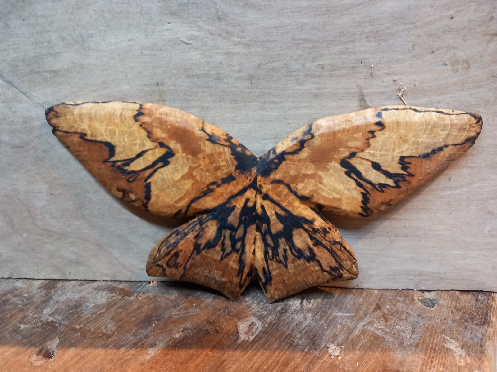 Butterfly shaped from spalted wood